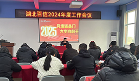 锚定新程，继创佳绩丨湖北百信医疗2024年终工作总结会议顺利召开