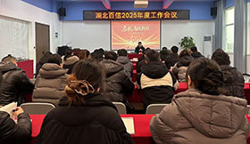 启航，马跃新程 | 武汉百合医疗2025年终工作总结会议圆满举行